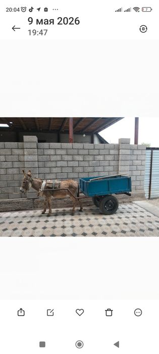 Есек арабасымен сатылады