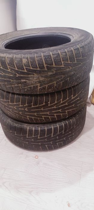 Шины Nokian Nakapellita