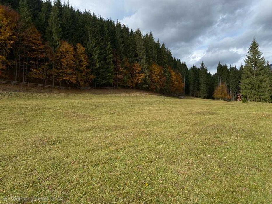 Teren intravilan 7.000 mp la poalele Ceahlăului – Sat Telec (Bicazul Ardelean) Posibilitate parcelare