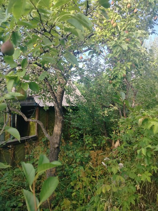 Дача в сообществе Горняк.