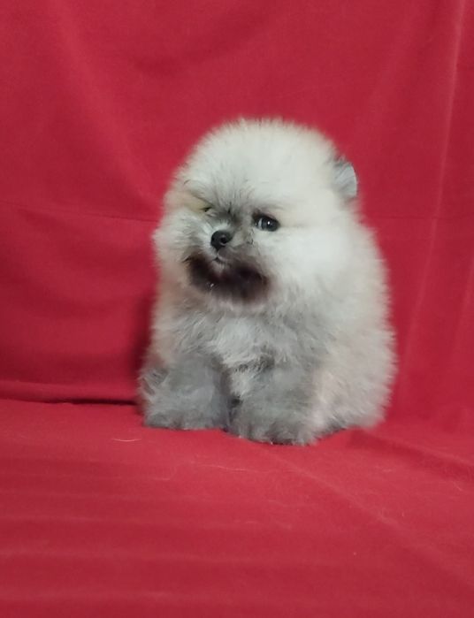 Сссупер мини девочка