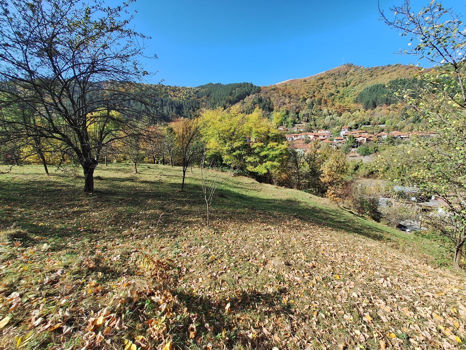 Продава се Парцел в Троян - 2552 кв.м за 34 €/кв.м - Снимка #13