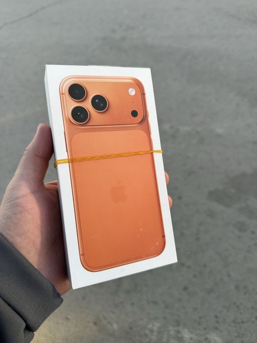 17pro max 256gb 100%