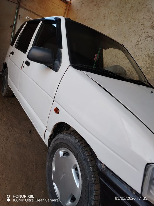 Дайво тико сотилади