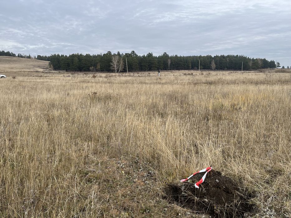 Участок в Боровом 12 соток