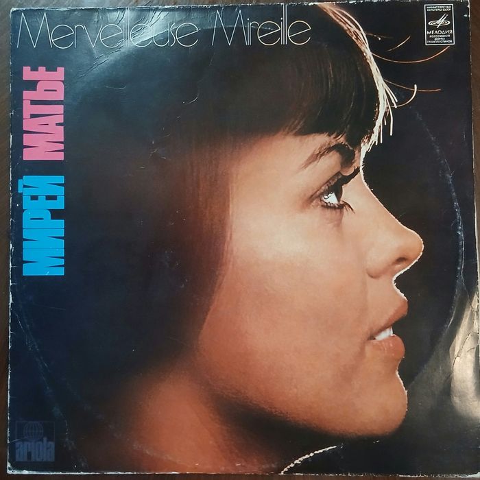 Виниловая пластинка