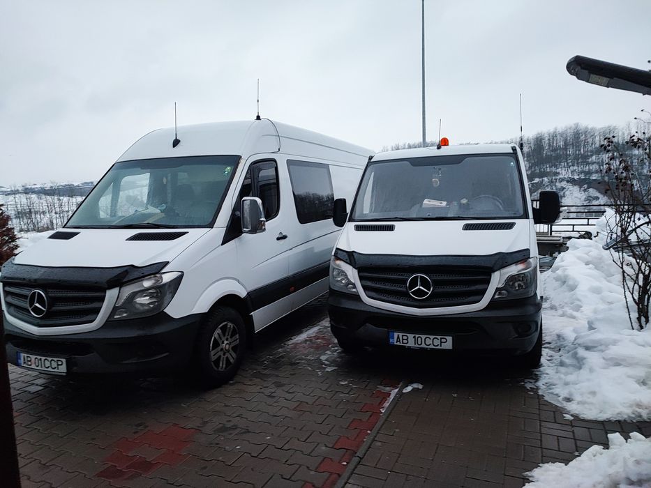 Vând platformă auto platforma și o dubă ce se vede în poză