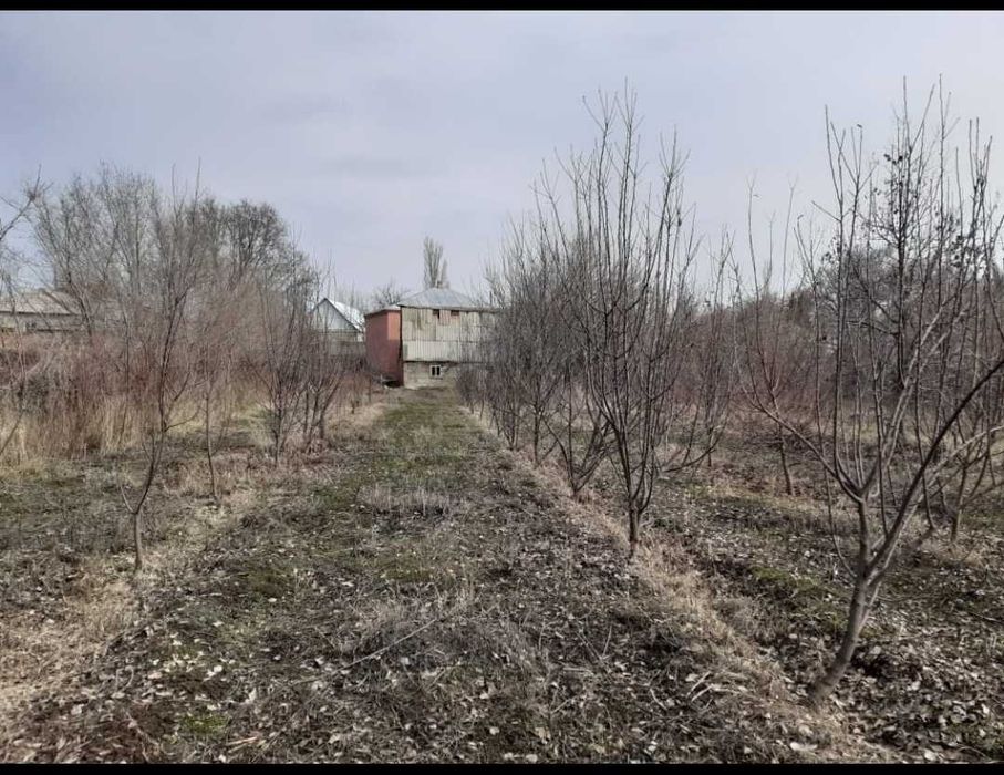 Дом С.Мерке Ул. Жаксылык 47