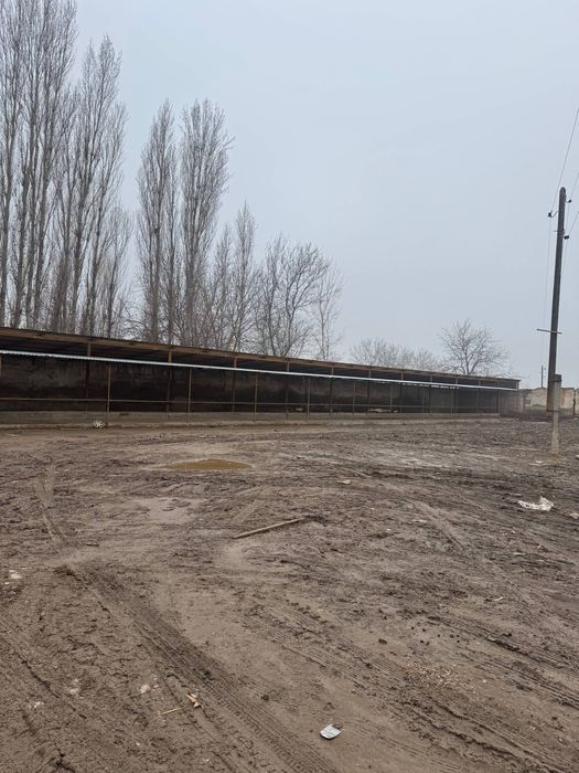 Срочно Мини ферма на Янгийул Молбозор