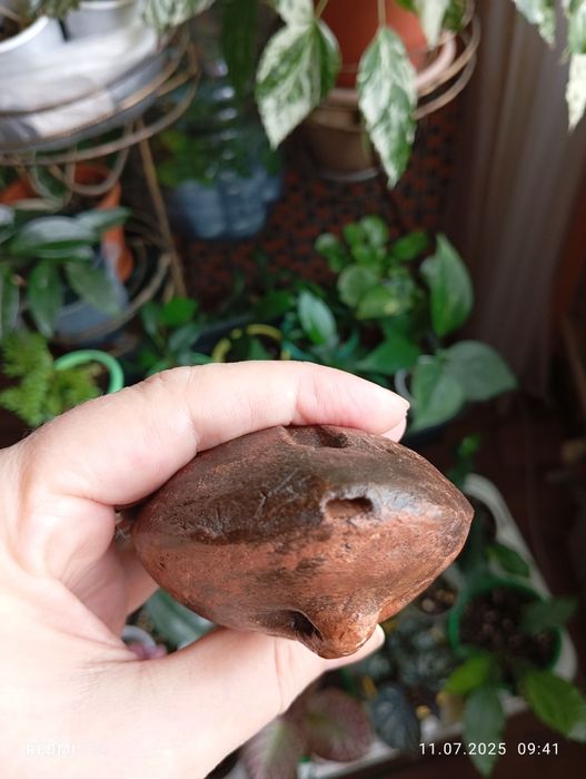 Продам флейта сазсырнай