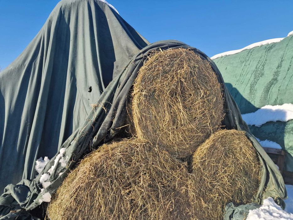 Baloti de lucerna cu fan