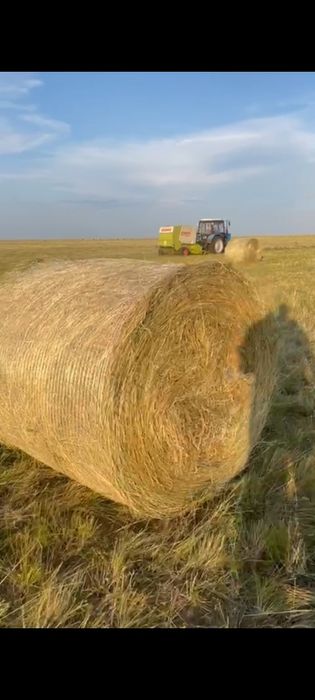 Сено луговое рулон  300кг