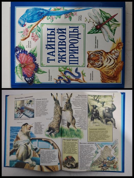 Большая распродажа детских книг!!!