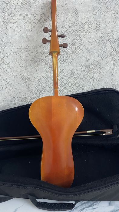 Кобыз павлодарская