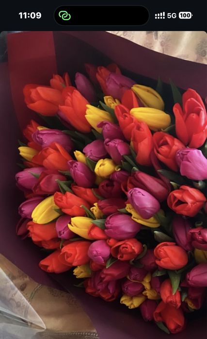 Заказывайте тюльпаны оптом с Пришахтинска