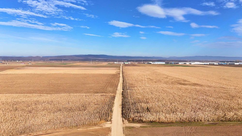 Teren 32,5 Ha compact Prejmer, Brasov. Imagini drona,tur/360