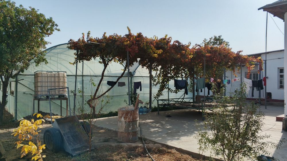 Ховли уй сотилади