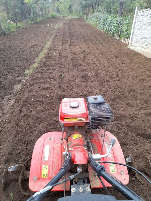 Sap gradini cu motocultor