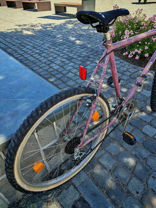 Bicicleta Mtb retro vintage pro line
