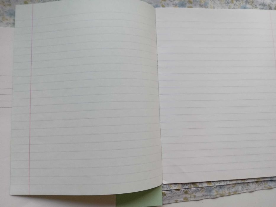 Школьные тетради 12 листов.