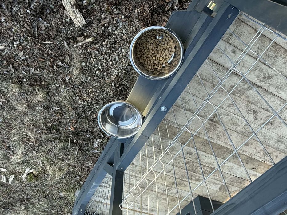 Țarc pentru câini/Kutyakennel