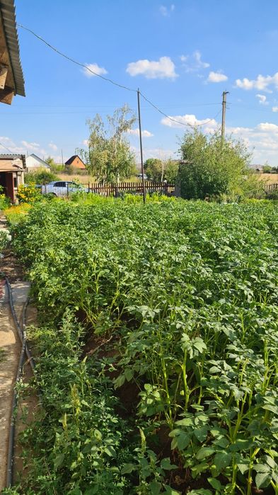 Дача С/о Алтайский энергетик