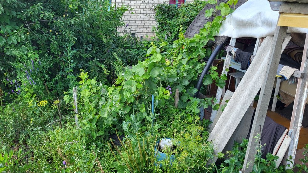 Продам дачу сады 1