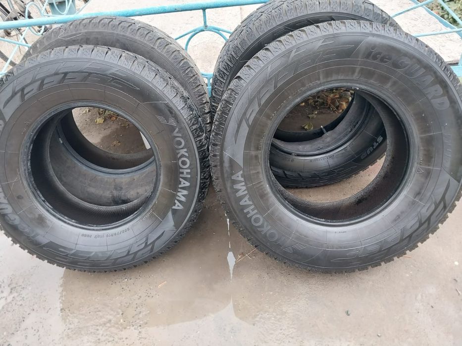 Шины зимние  шипованные