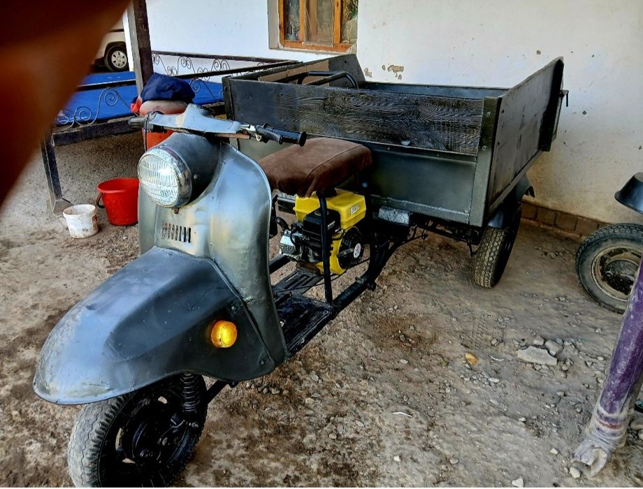 Муравей в хорошем состоянии