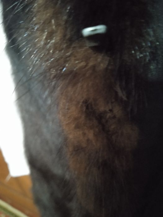 Женская норковая шуба.