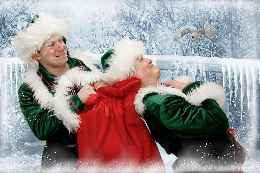 Дед Мороз. Снегурочка. Новый год. Аниматоры