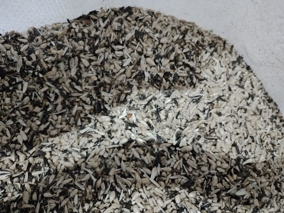 Жем отход от семечки