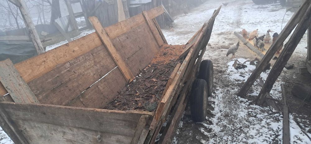 Carut cu 2 punti de aro