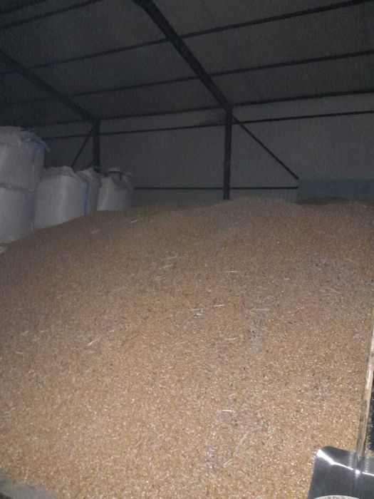 Vand cereale porumb grau orzoica ovaz