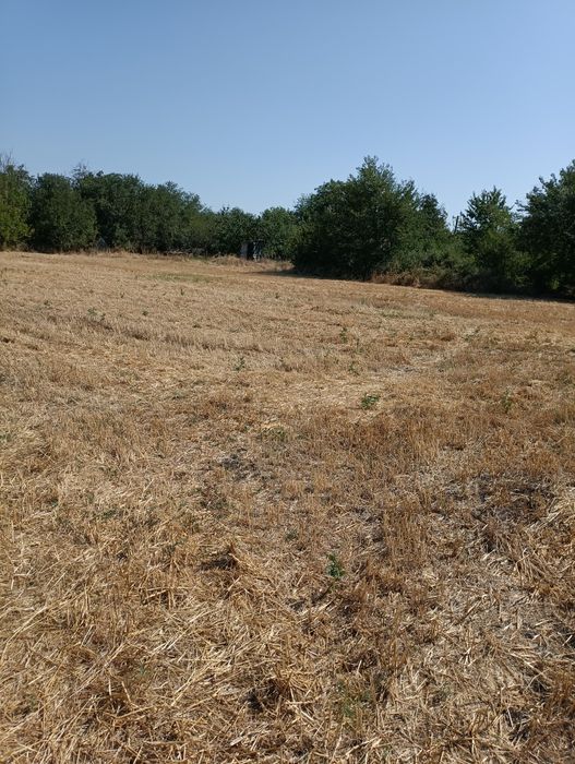 Продава се Парцел в с. Ловец, Област Стара Загора - 3200 кв.м за 5 €/кв.м - Снимка #4