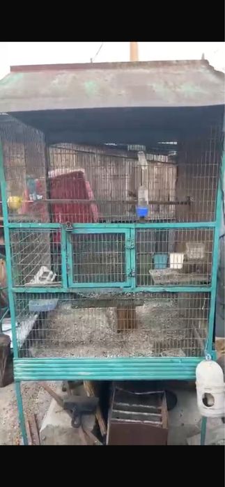 Продам птичий Валер