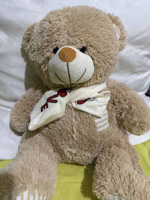 Две плюшени мечета