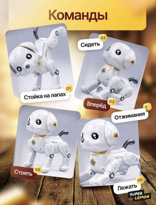 Интерактивный робот