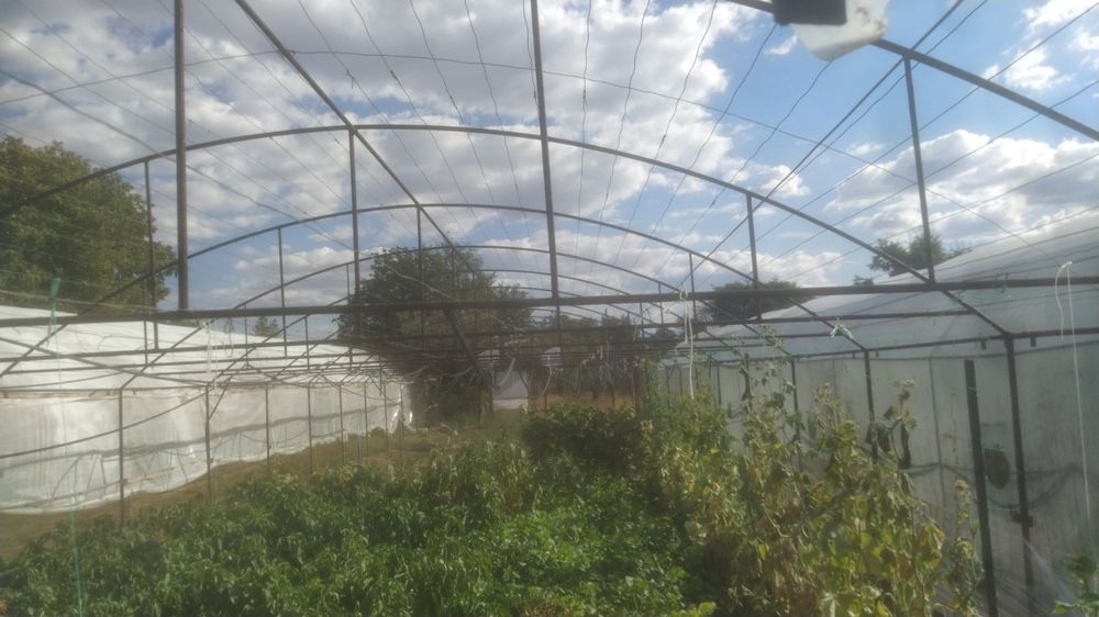 Продавам оранжерии в с. Юнаците