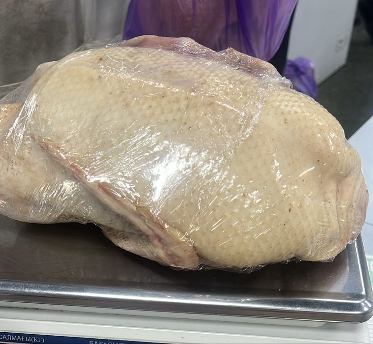 Гуси, куры, перепёлки домашние.