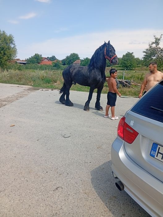 Vand//și de monta