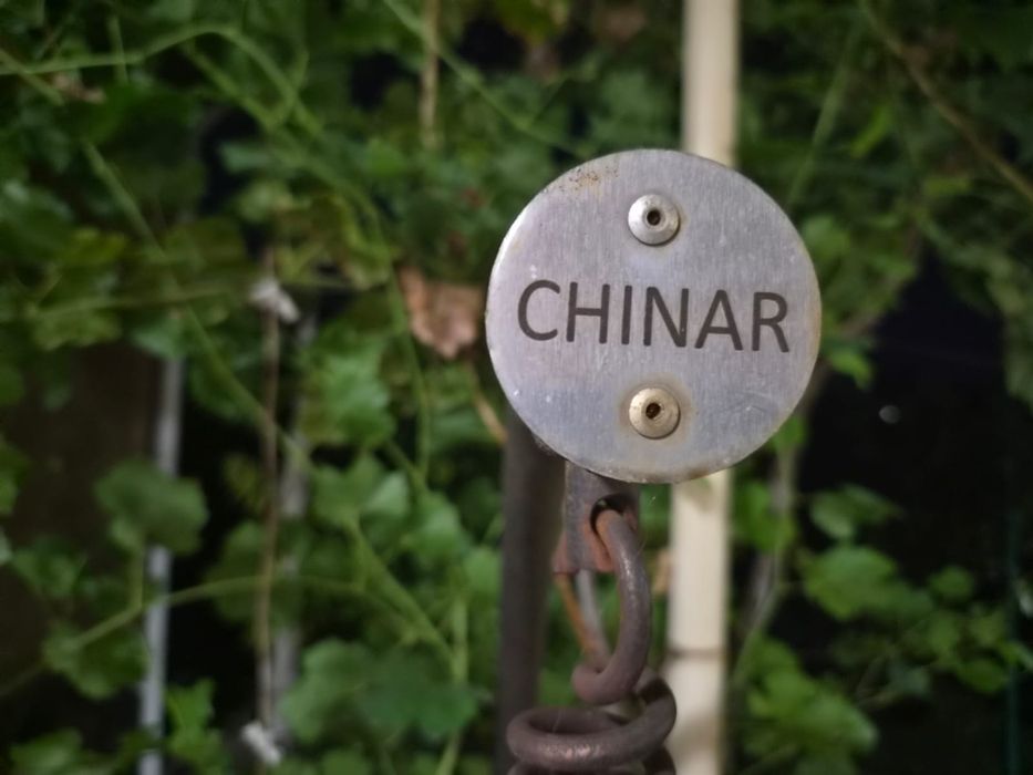 Продом качели CHINAR в отличном состоянии