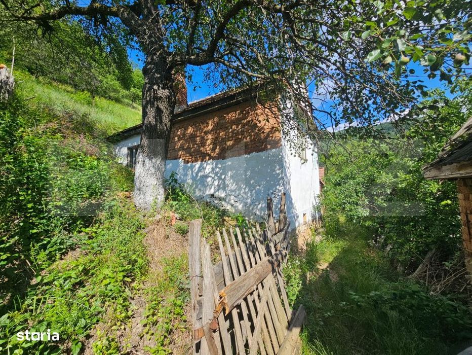 Casa traditionala - o investitie cu potential de dezvoltare, Capalna,