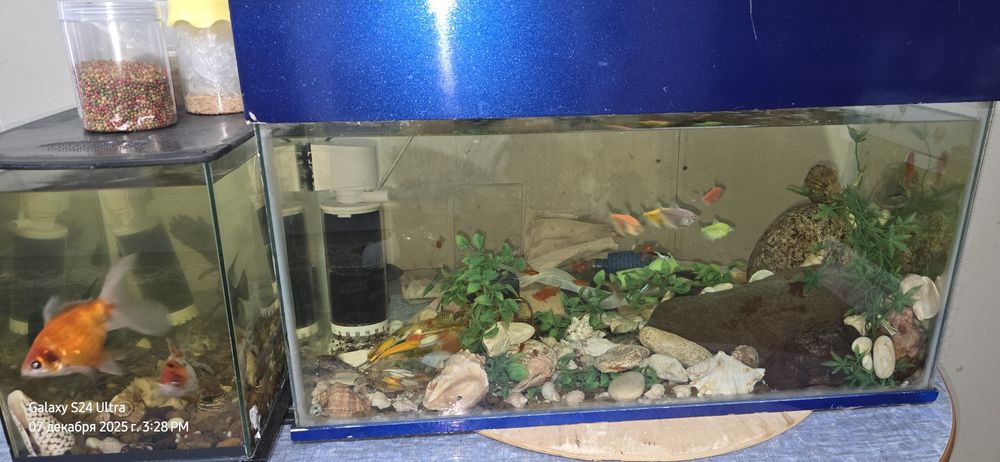 Продам 2 аквариума торг