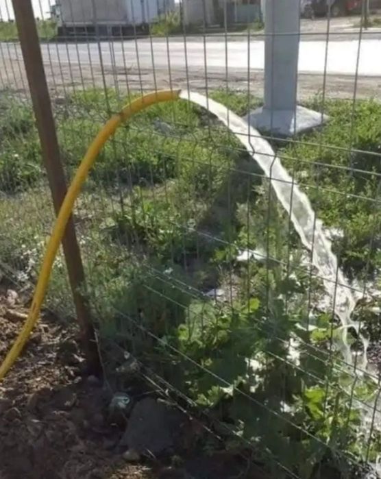Foraje puțuri apa