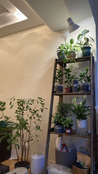 Стрллаж деревянный, подставка напольная, этажерка