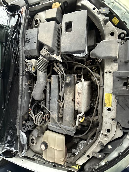 Форд фокус 1.8 114 кс 2000г на части