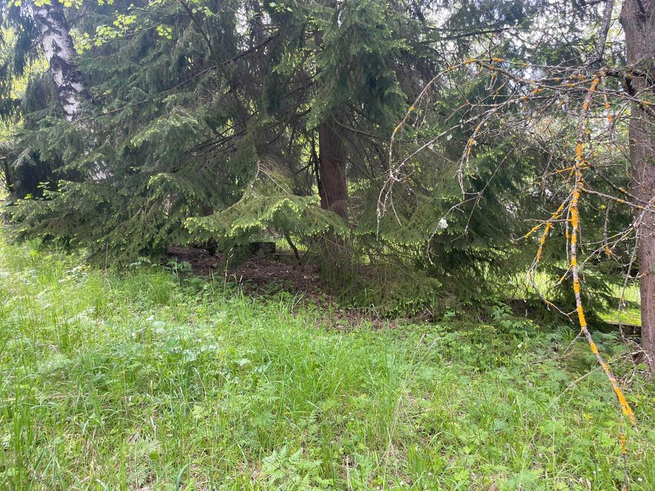 Продава се Парцел в Копривщица - 5551 кв.м за 55 €/кв.м - Снимка #1