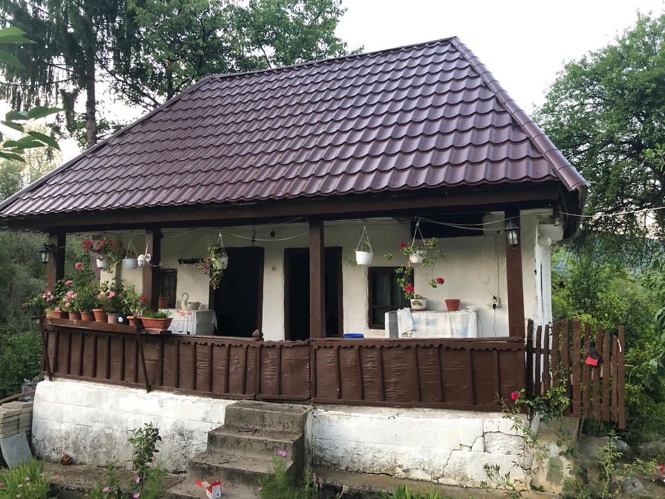 Montaj acoperisuri reparații dulgherie hidroizolații velux