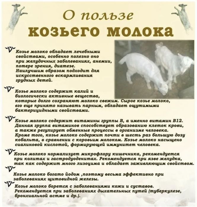 Продам Козье молоко